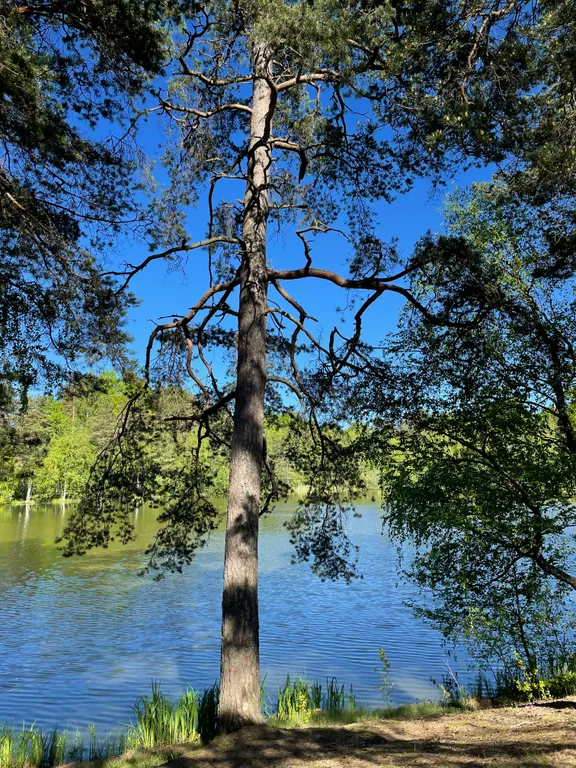 Соловьевка Villa