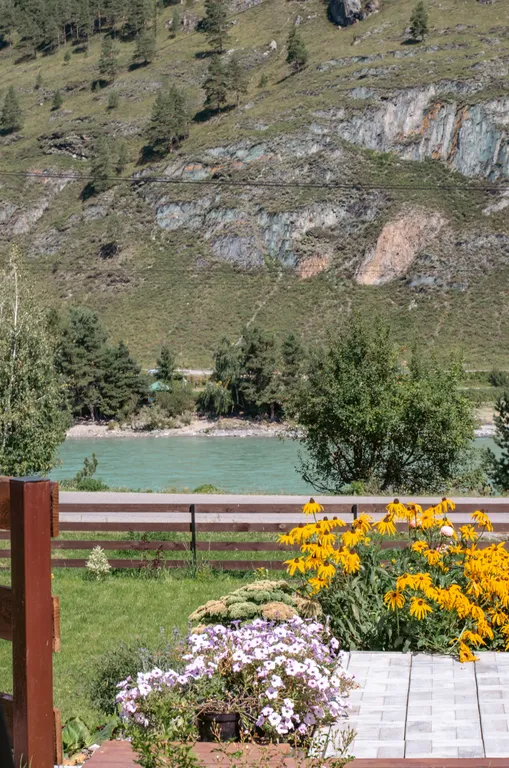 Наш уютный гостевой дом Катунская Синица