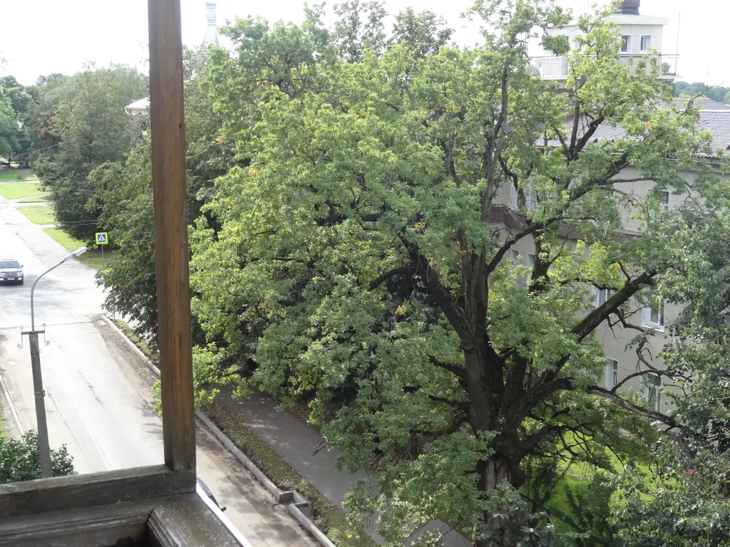 Квартира у Кремлёвского парка с балконом, Wi-Fi, кондиционер