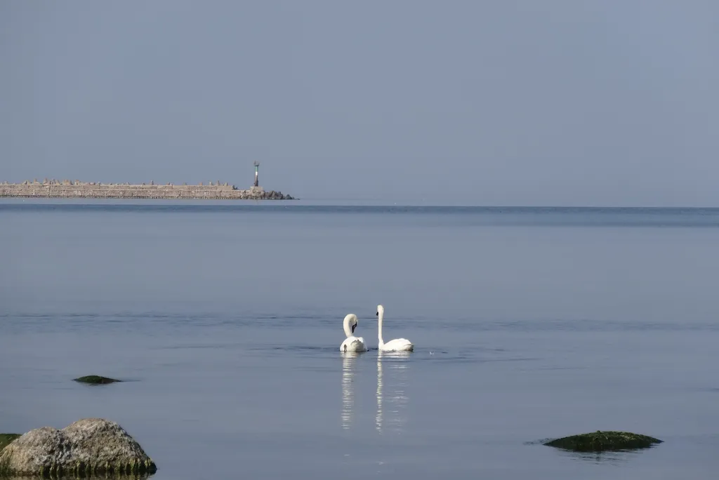 Квартира Квартира Апартамент в парке у моря — Пионерский