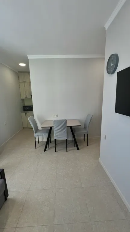 Квартира 1-комнатная Квартира — Сириус