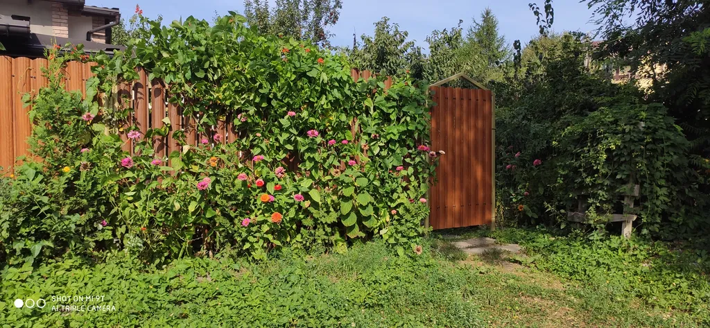 Студия с уютным двориком