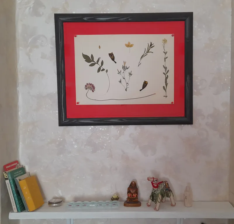 Квартира для курортного отдыха и лечения