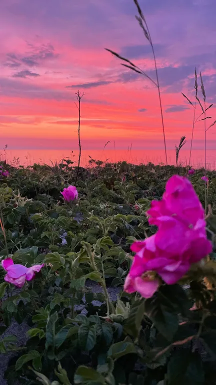 Апартаменты у острова канта