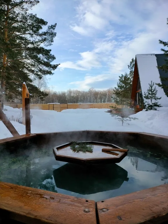 Дом у леса с баней и банным чаном