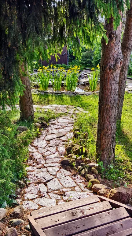 Романтика среди сосен!