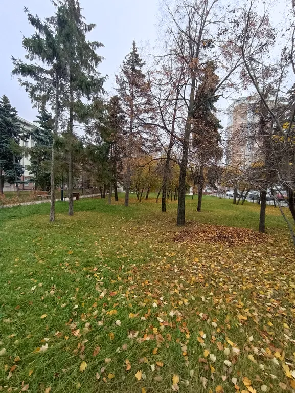 Уютная студия по выгодной цене в Центре города, рядом с метро