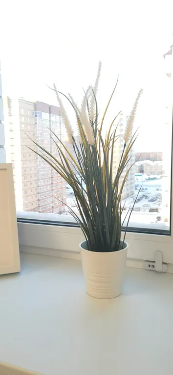 Квартира с обзорным видом