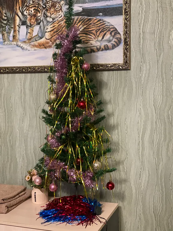 Квартира в центре города