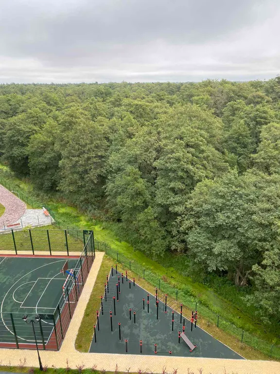 Квартира с видом на лес Куршской косы