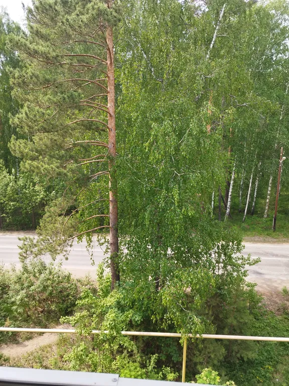 Квартира 1-комнатная Квартира — Рефтинский