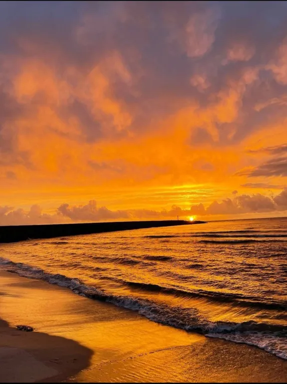 Квартира Квартира Белая студия Море внутри — Пионерский