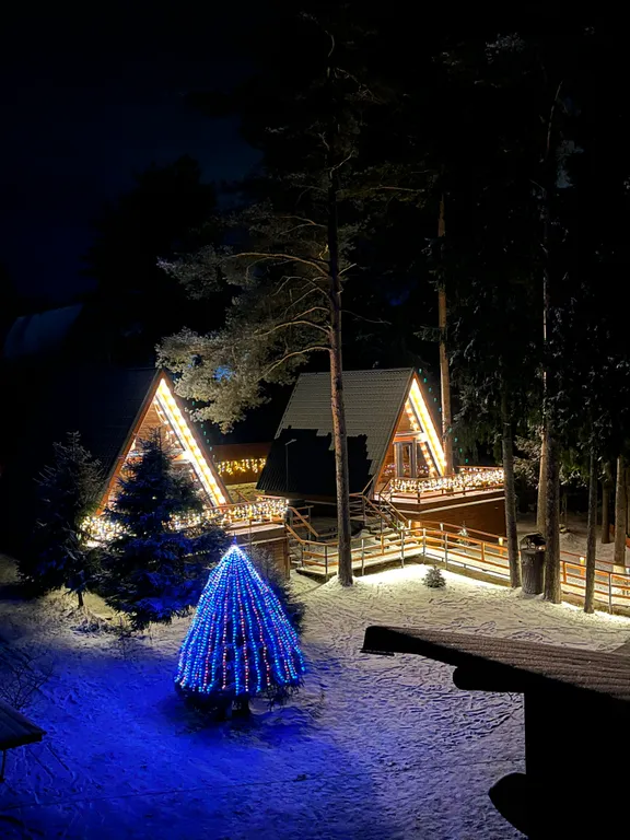 Коттедж Коттедж Шапкинские высоты — Тосно