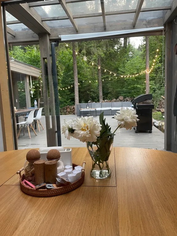 Уютный дом в тишине хвойного леса