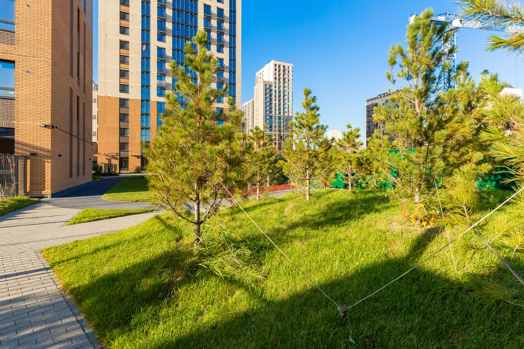 Уютная квартира в историческом центре города