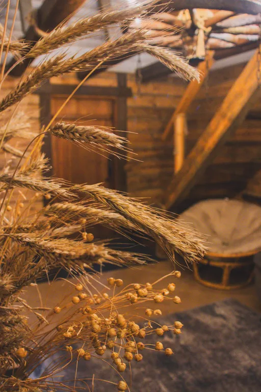 Дом-баня на высоком берегу Березины