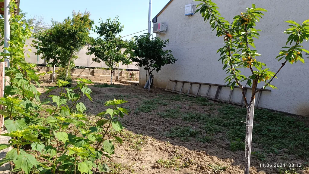 Коттедж на берегу моря