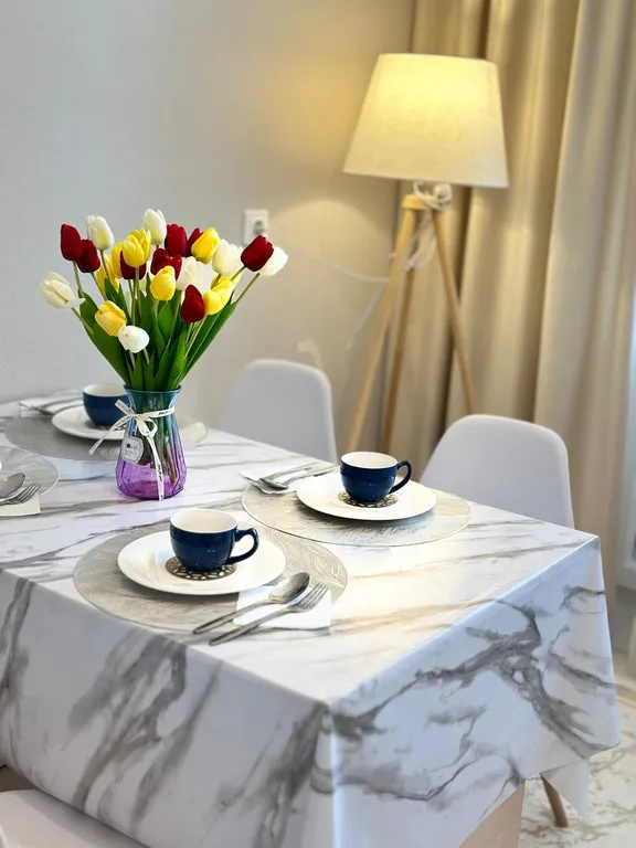 Роскошная и красивая однокомнат квартира в центре города