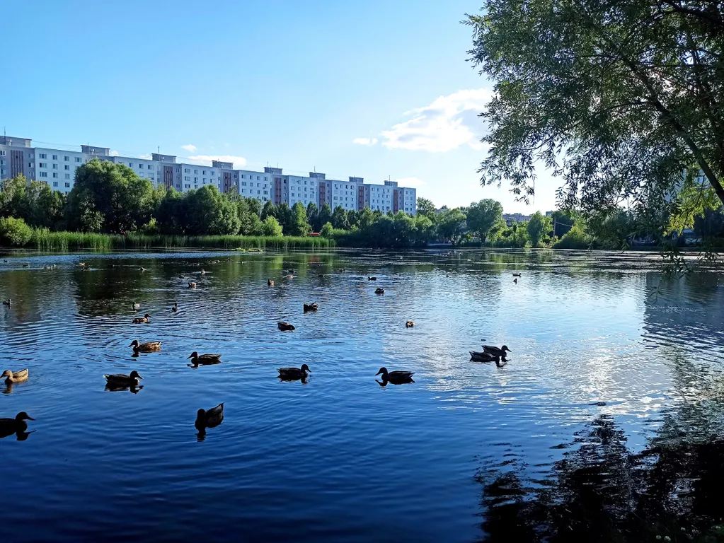 Уютная квартира рядом с озером