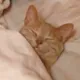 Никита