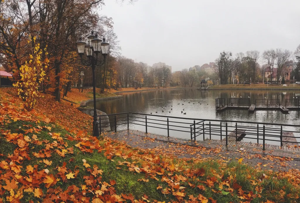 Квартира Атмосферная квартира в центре возле парка — Калининград