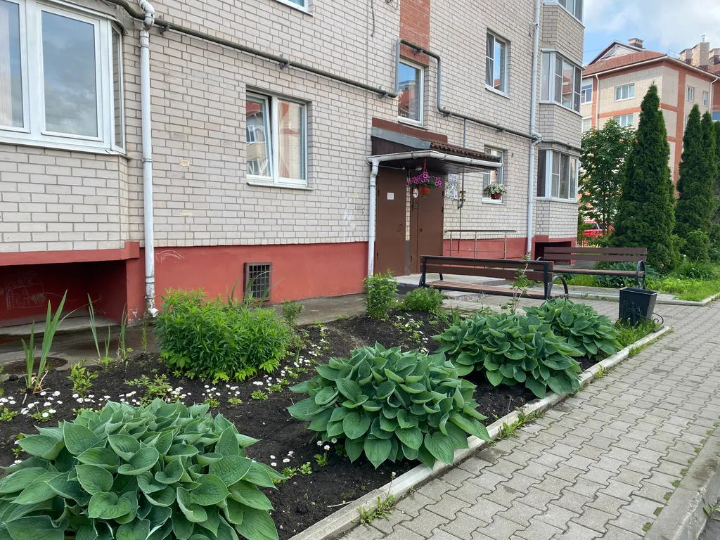 Чистота, просторная квартира с бесплатной парковкой