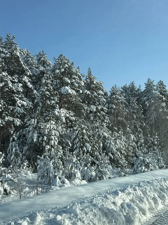Коттедж Уединенный дом с баней рядом с лесом под Коломной — Михеево