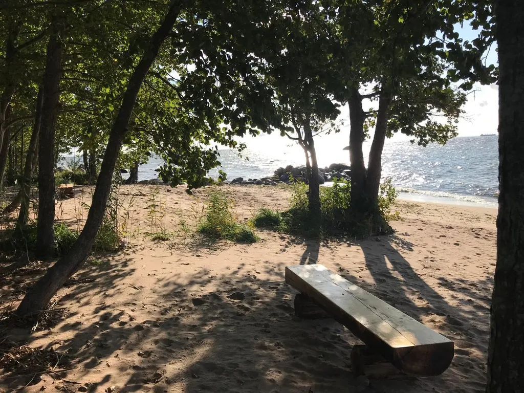 Коттедж в соснах у залива