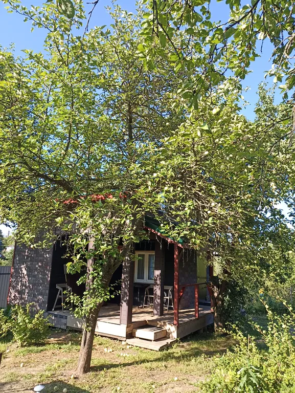 Тихий Дом, баня, чан