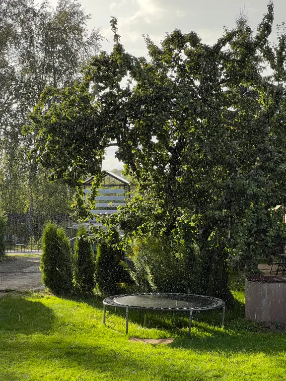 Коттедж Милый домик рядом с озером Ильмень — Великий Новгород