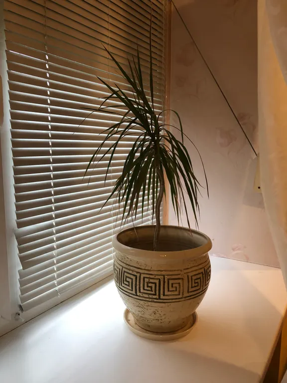 Welcome to the Apartment Loginova