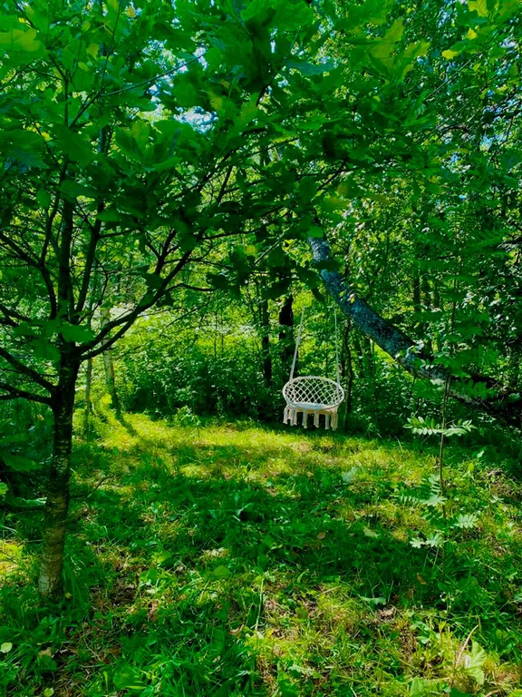 Домик в лесу с пятнистыми оленями и кроликами