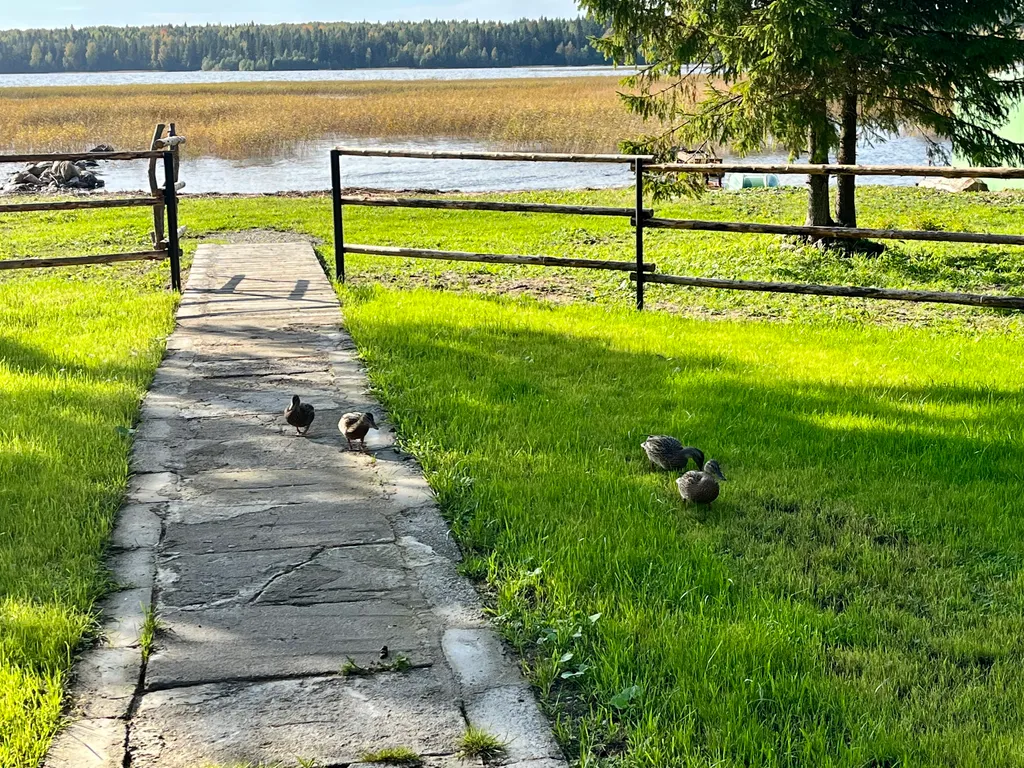 Загородный дом Царская усадьба