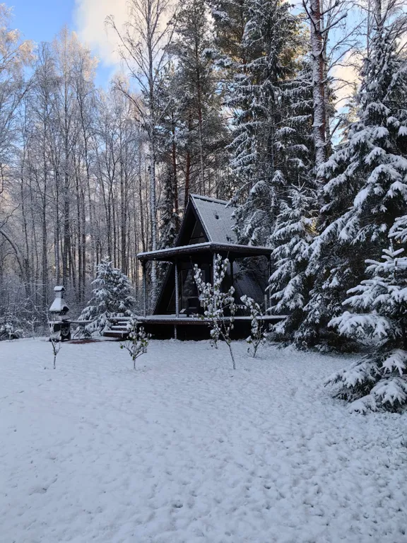 Уютный дoм a-frame