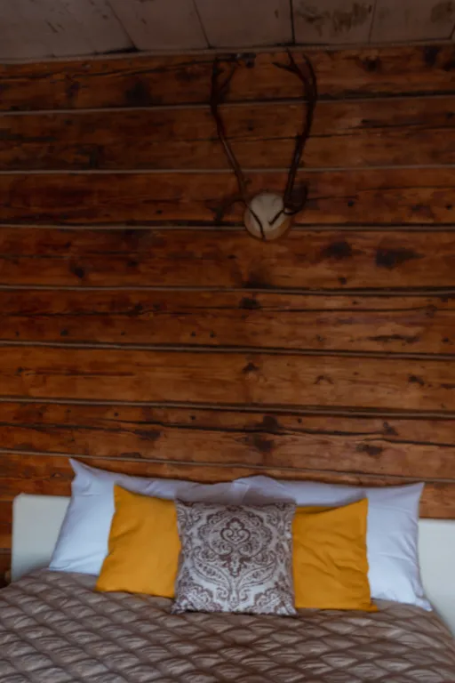 Дом с амбаром 1903. Старинный дом на 8-9 человек в самом центре. Сауна