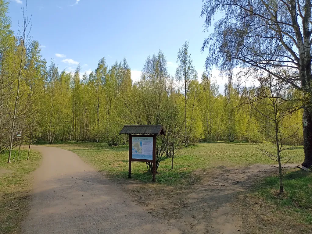 Евродвушка в Сказке