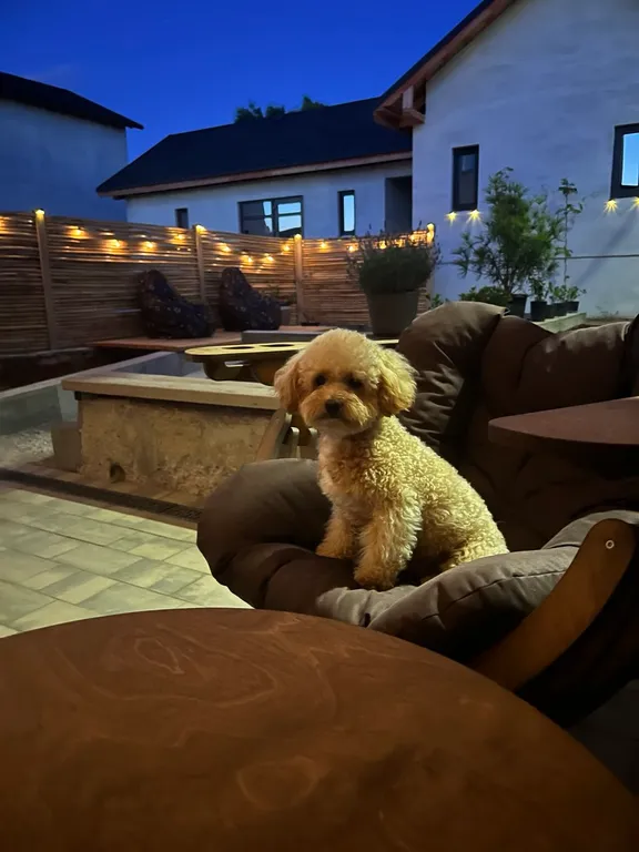 Квартира Квартира Гостевой дом магия — Севастополь