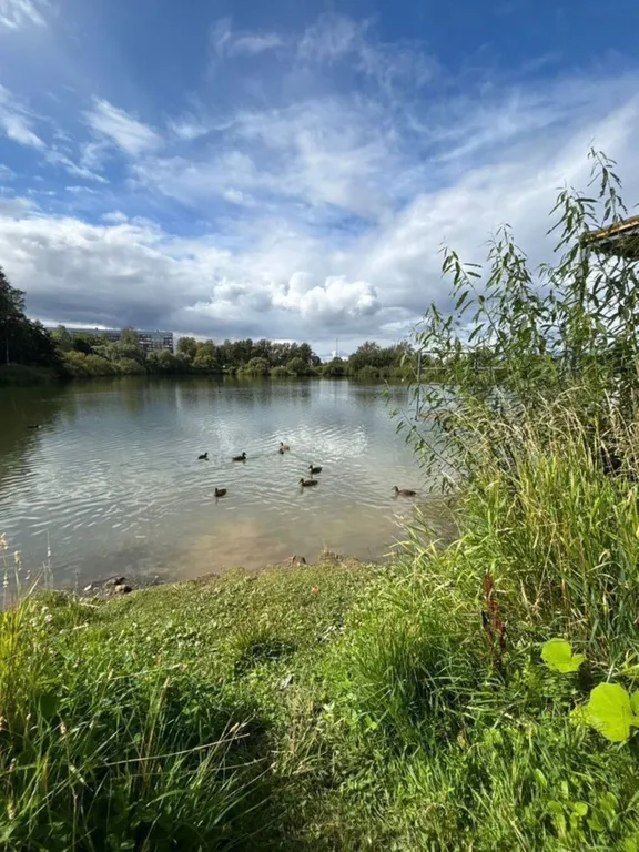 Квартира Квартира Удобный выезд на Акрон и Санкт-Петербург, рядом ФСК на Вересова — Великий Новгород
