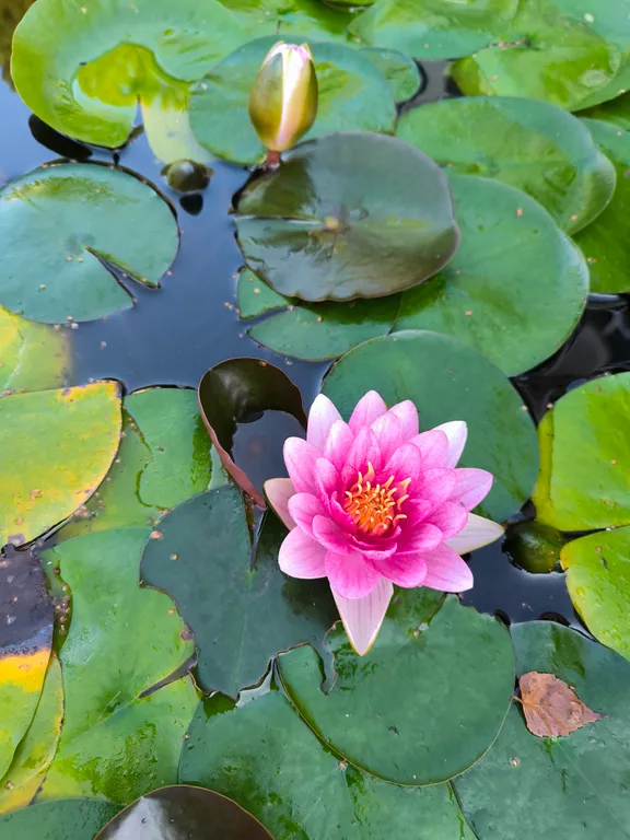 Квартира Квартира Евродвушка в курортной части Светлогорск-2 — Светлогорск