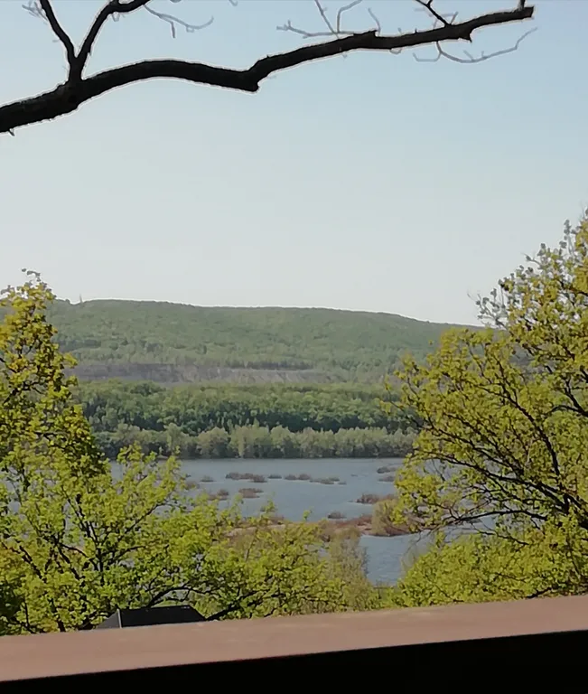 Дом в дубовой роще у реки