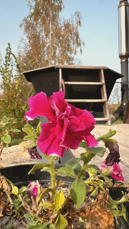 Коттедж Дом с видом на реку — Толстобино