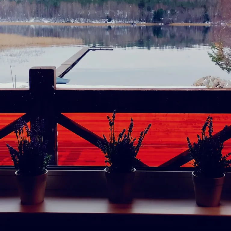 Дом в Карелии на берегу Онежского озера