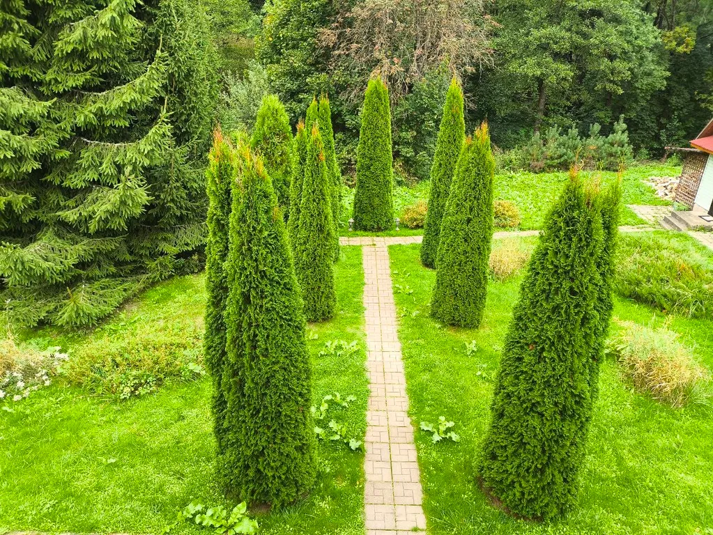 Агроусадьба на уединенном хуторе