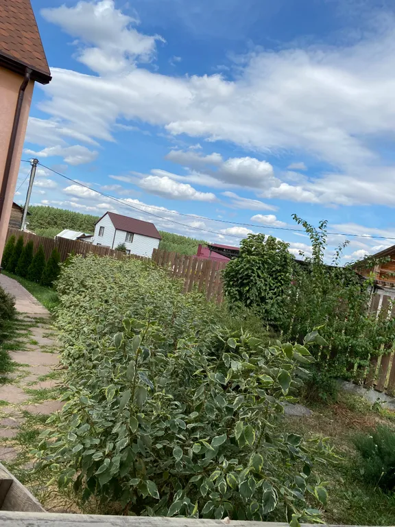 Дивеево-Лайф