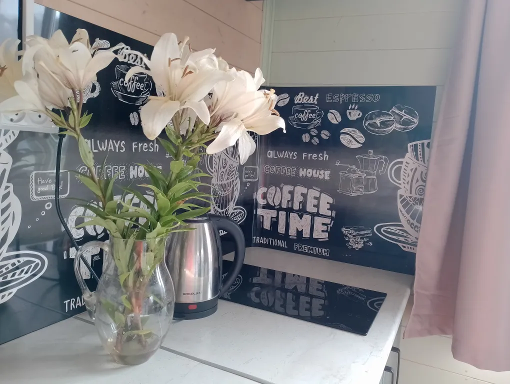 Домик на Селигере