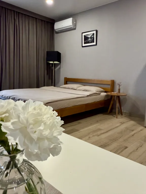 Стильная видовая студия в центре города