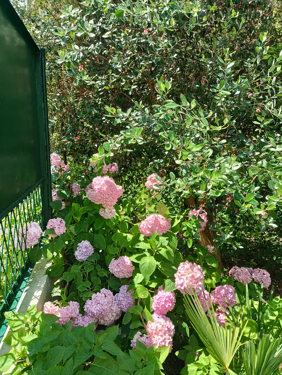 Первый этаж с отдельным входом в районе центрального рынка