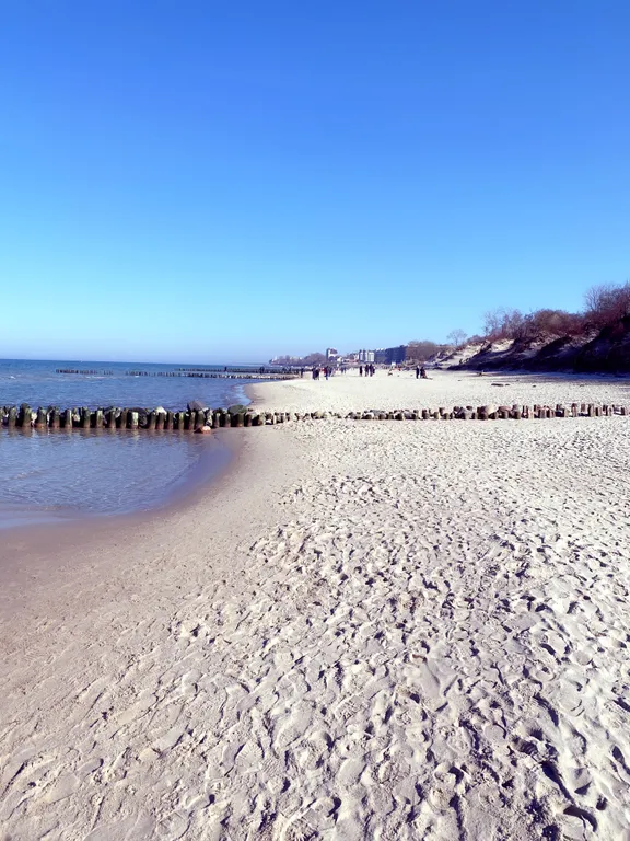 Квартира Квартира Апартамент у моря — Зеленоградск