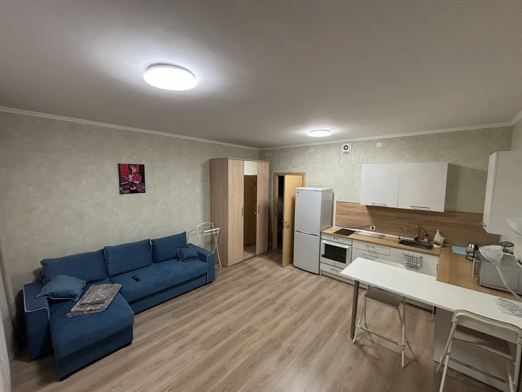 Квартира 1-комнатная Квартира — Янино-1