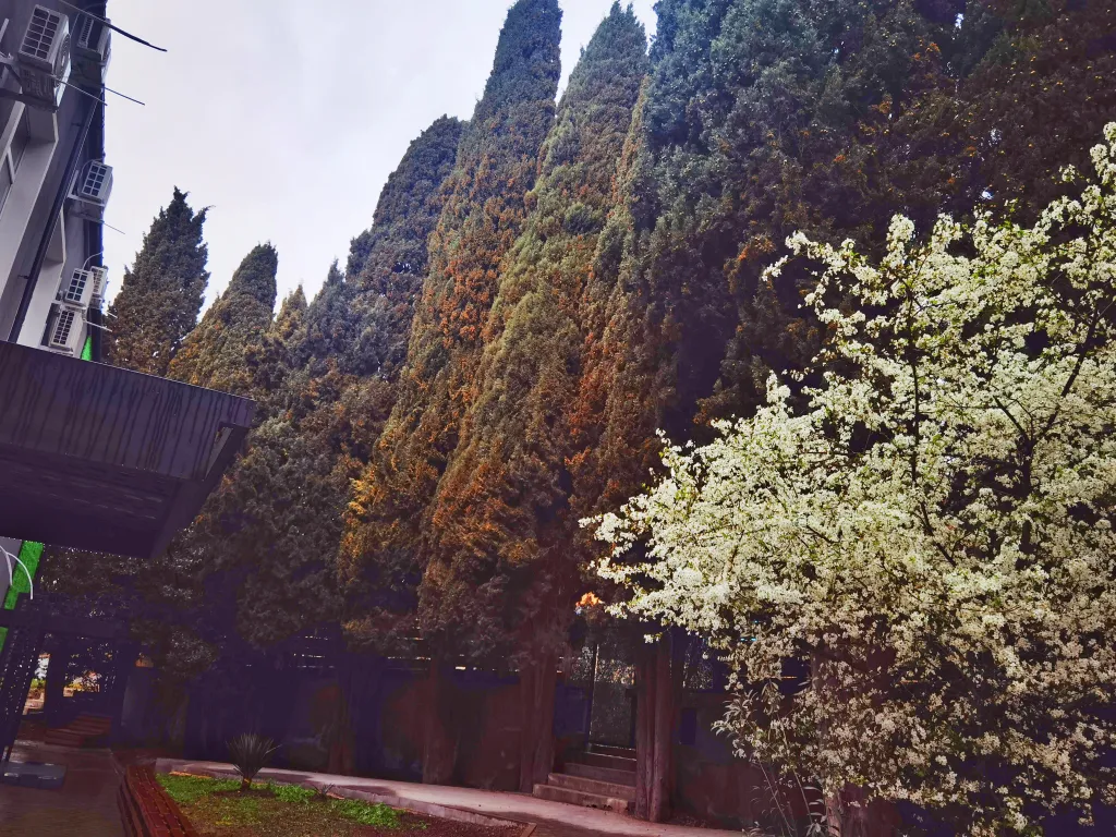 Апартаменты у моря